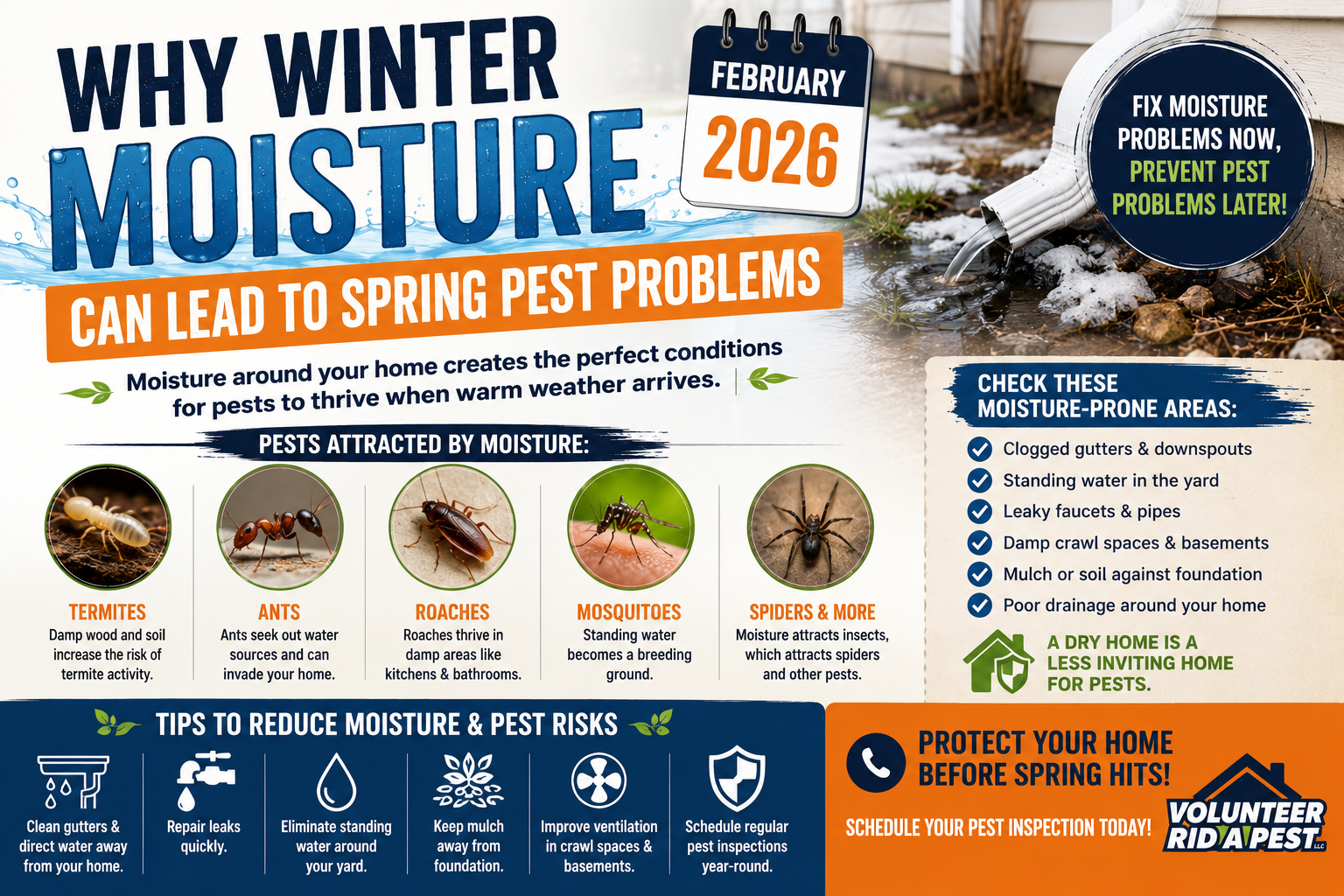 Why Winter Moisture Can Lead to Spring Pest Problems