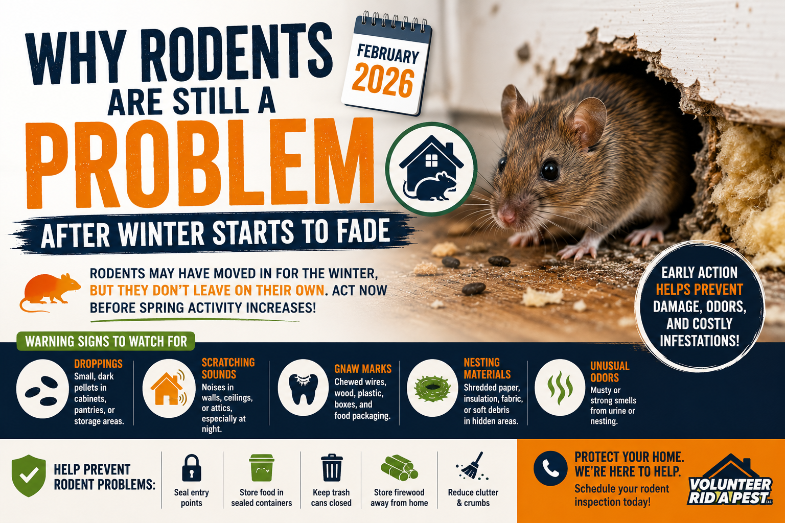 Why Rodents Are Still a Problem After Winter Starts to Fade