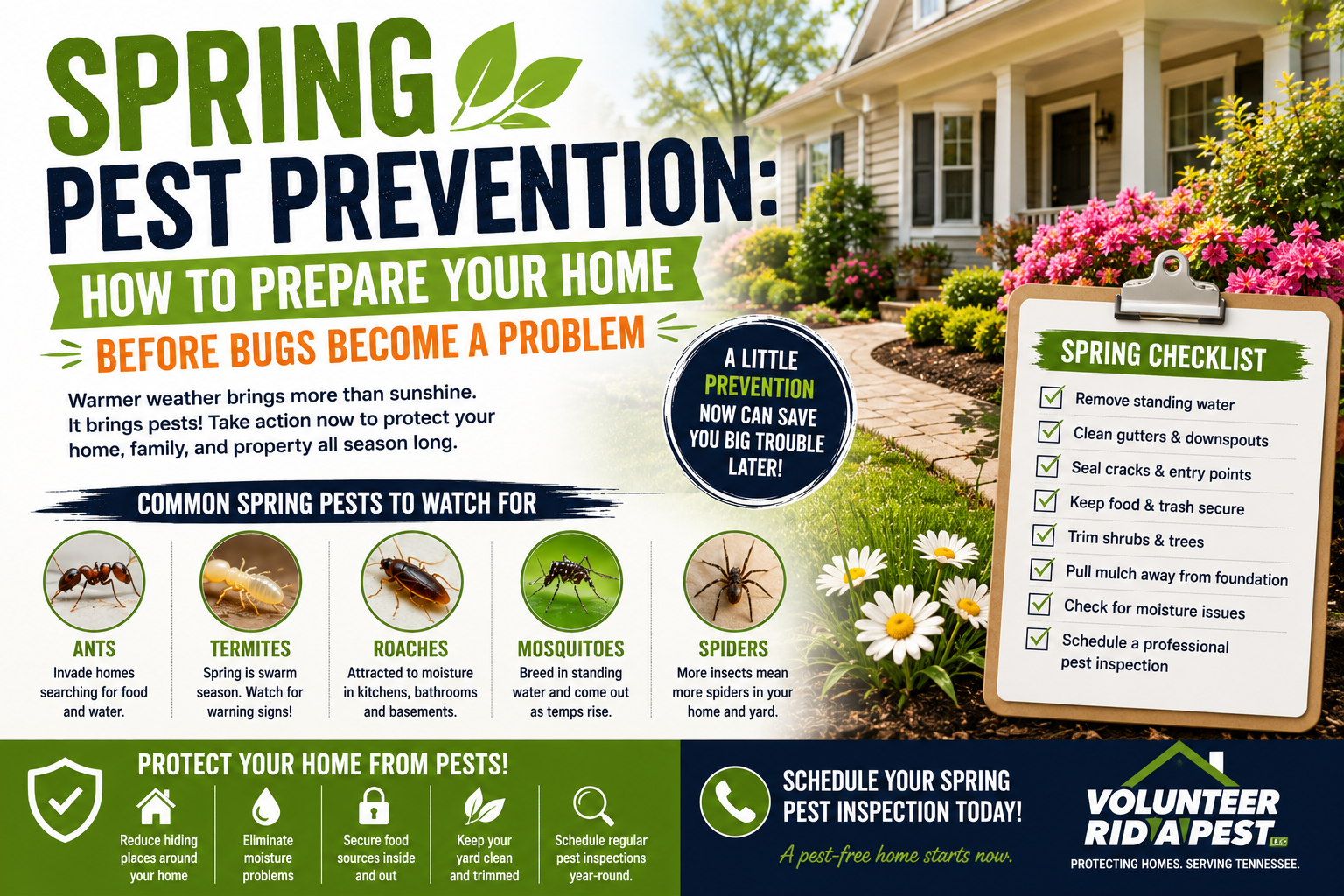 Spring Pest Prevention: How to Prepare Your Home Before Bugs Become a Problem