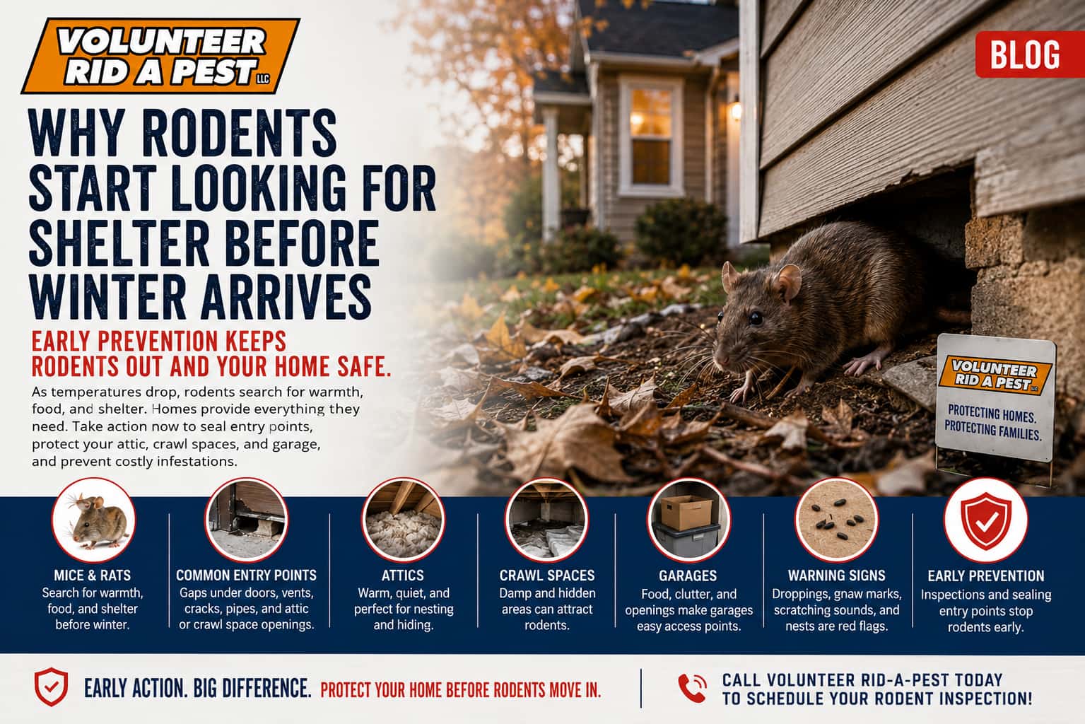 Why Rodents Start Looking for Shelter Before Winter Arrives