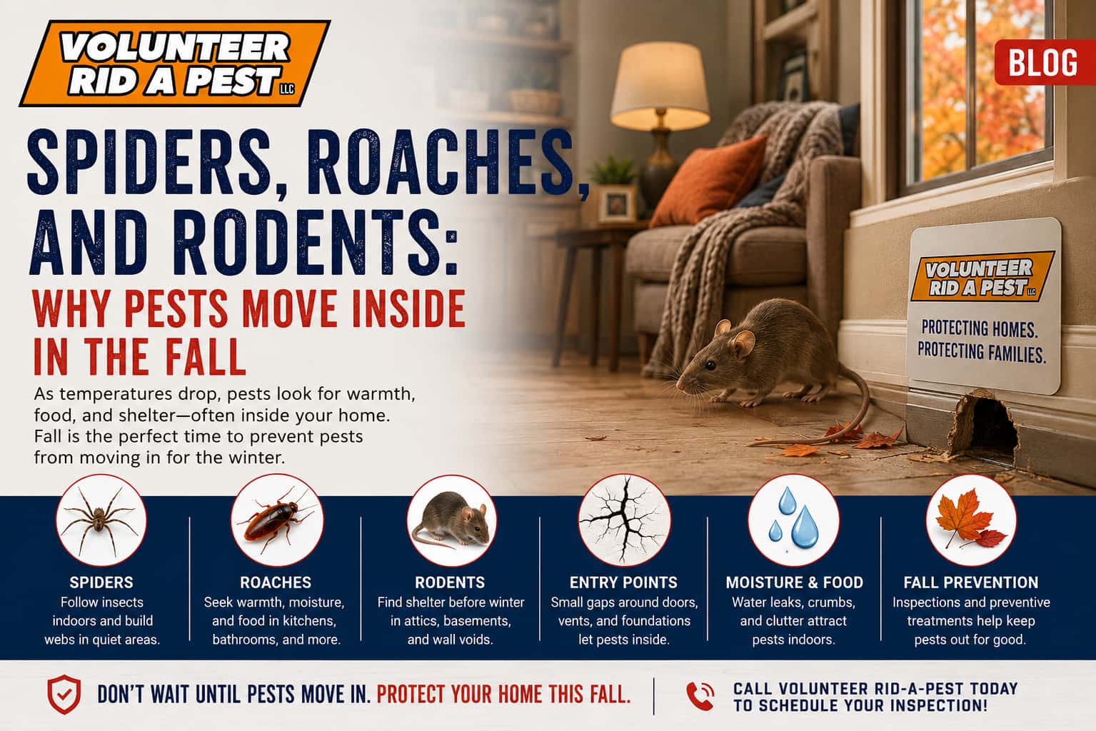 Spiders, Roaches, and Rodents: Why Pests Move Inside in the Fall